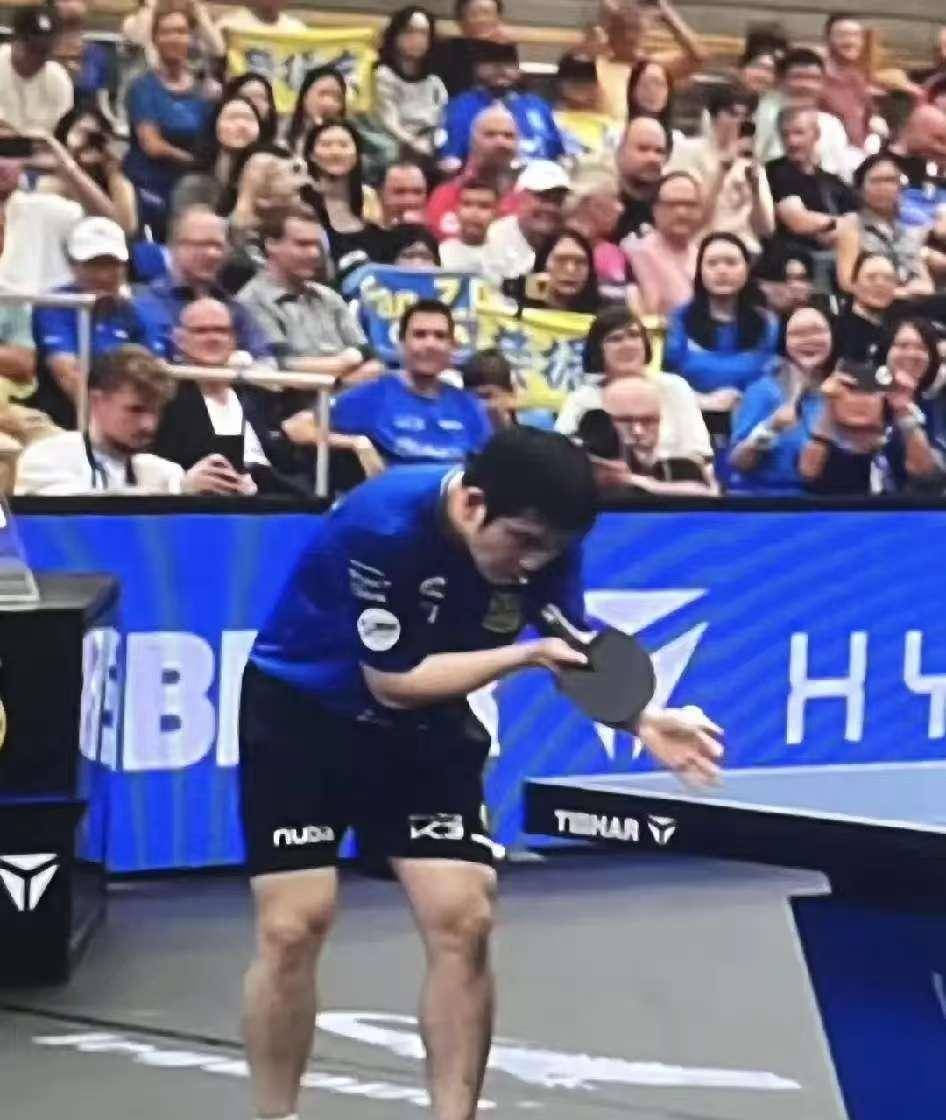 2-3输球！樊振东德甲首秀爆冷失利，海外适应难题待解！